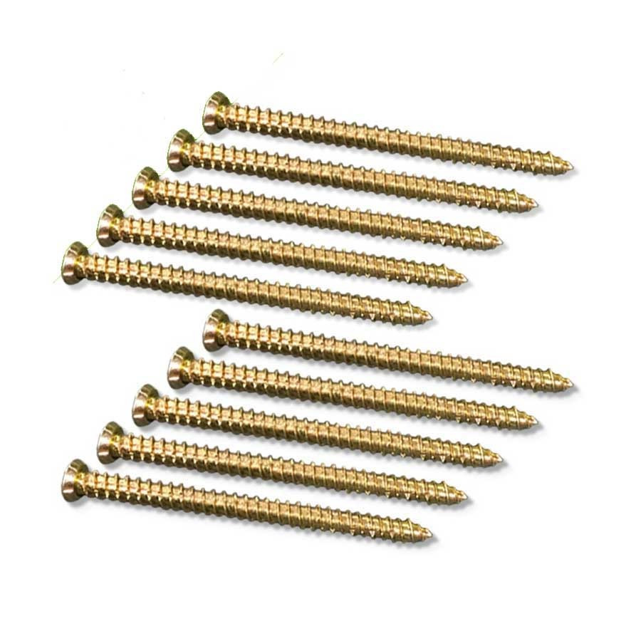 WPC Joist Expansion Fitting Screws (25)